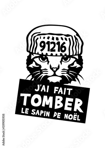 chat tomber sapin noel citation prisonnier humour