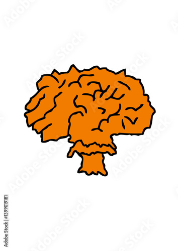 explosion champignon nucleaire atomique photo