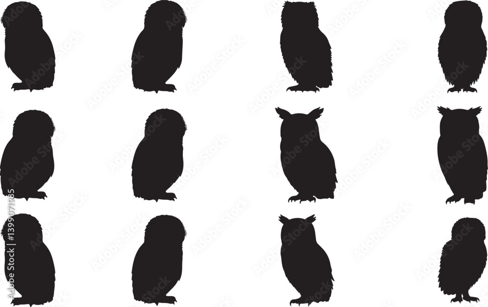 Flammulated Owl Silhouettes Flammulated Owl Silhouettes