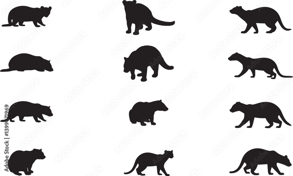 Obraz premium Fossa Silhouettes