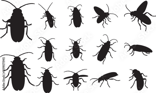 Firefly Silhouettes