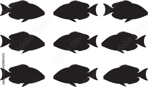 Harlequin Tusk Fish Silhouettes