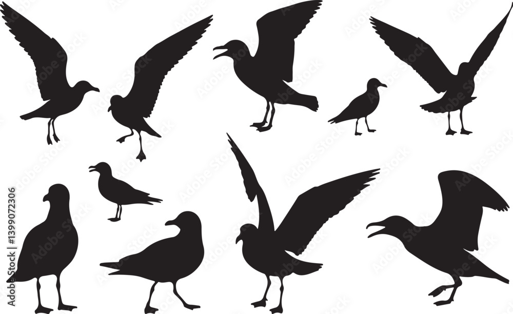 Obraz premium Ivory Gull Silhouettes