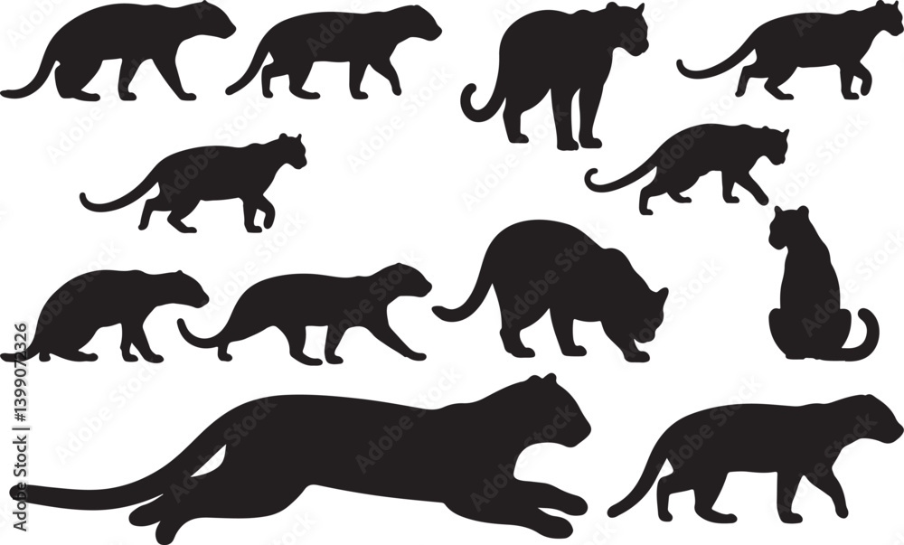 Fototapeta premium Jaguarundi Silhouettes
