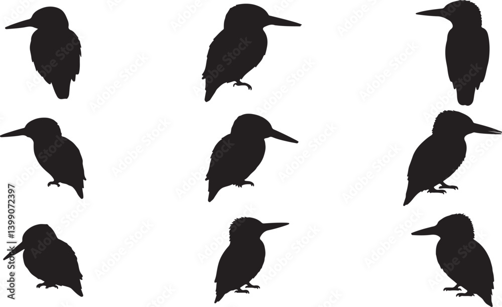 Fototapeta premium Kingfisher Silhouettes