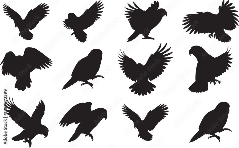 Obraz premium Kea Parrot Silhouettes