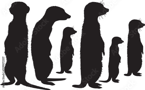 Meerkat Silhouettes