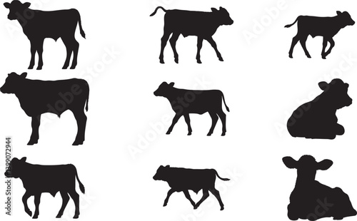 Calf Silhouette