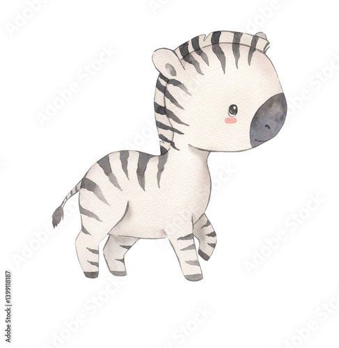 Photography Watercolor zebra illustration for kids