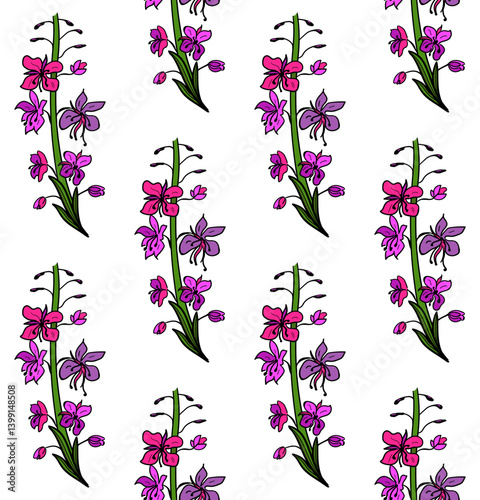 Seamless pattern with fireweed, willowherb, bombweed. Chamaenerion angustifolium flower. Colorful drawing in engraving vintage style on white background. Botanical hand drawn illustration