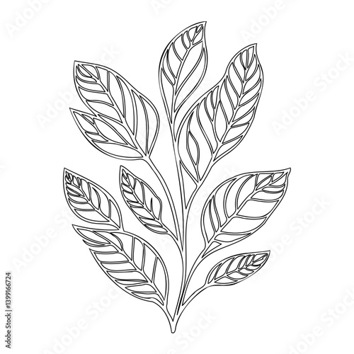 Botanical Line Art Illustration with Leaf Veins