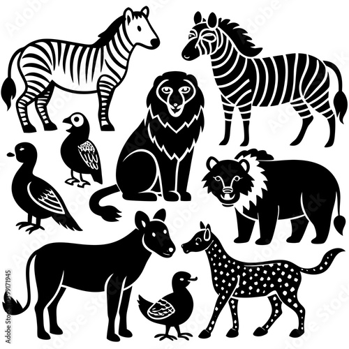 set of zebras vector