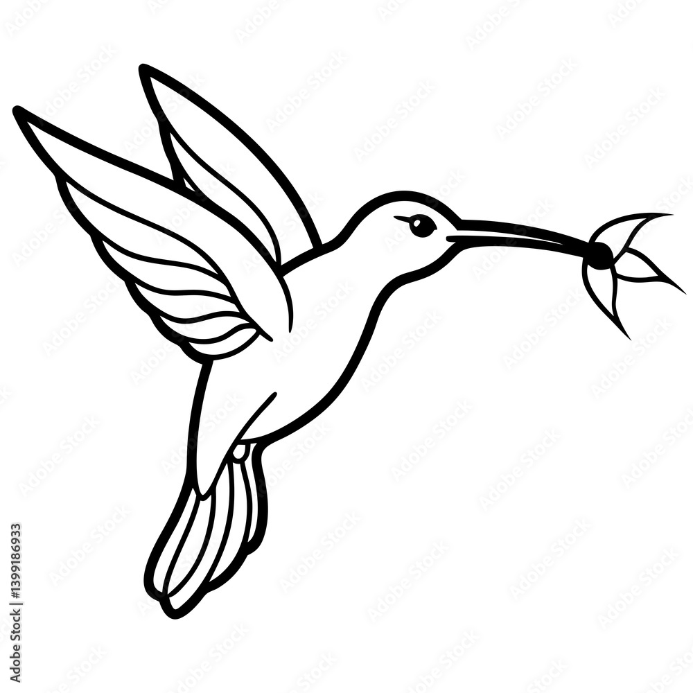 Obraz premium Hummingbird hovering near flower line art