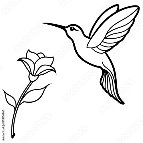 Hummingbird hovering near flower line art