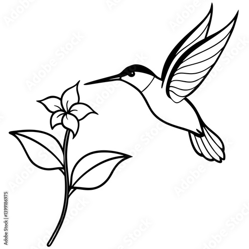 Hummingbird hovering near flower line art