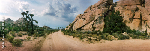 Panoramic view of dirt road passing through a landscape, Joshua Tree National Park, San Bernardino County, California, USA.