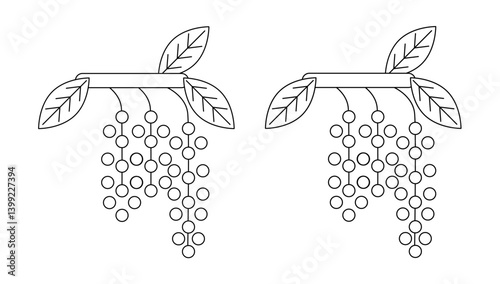 Bird cherry outline drawing. Editable and expanded stroke. Linear image with two variations, convenient for editing and coloring. Vector illustration, linear icon.	