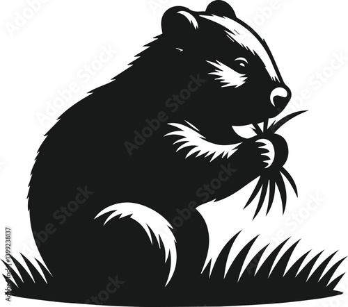 vector illustration of a wombat