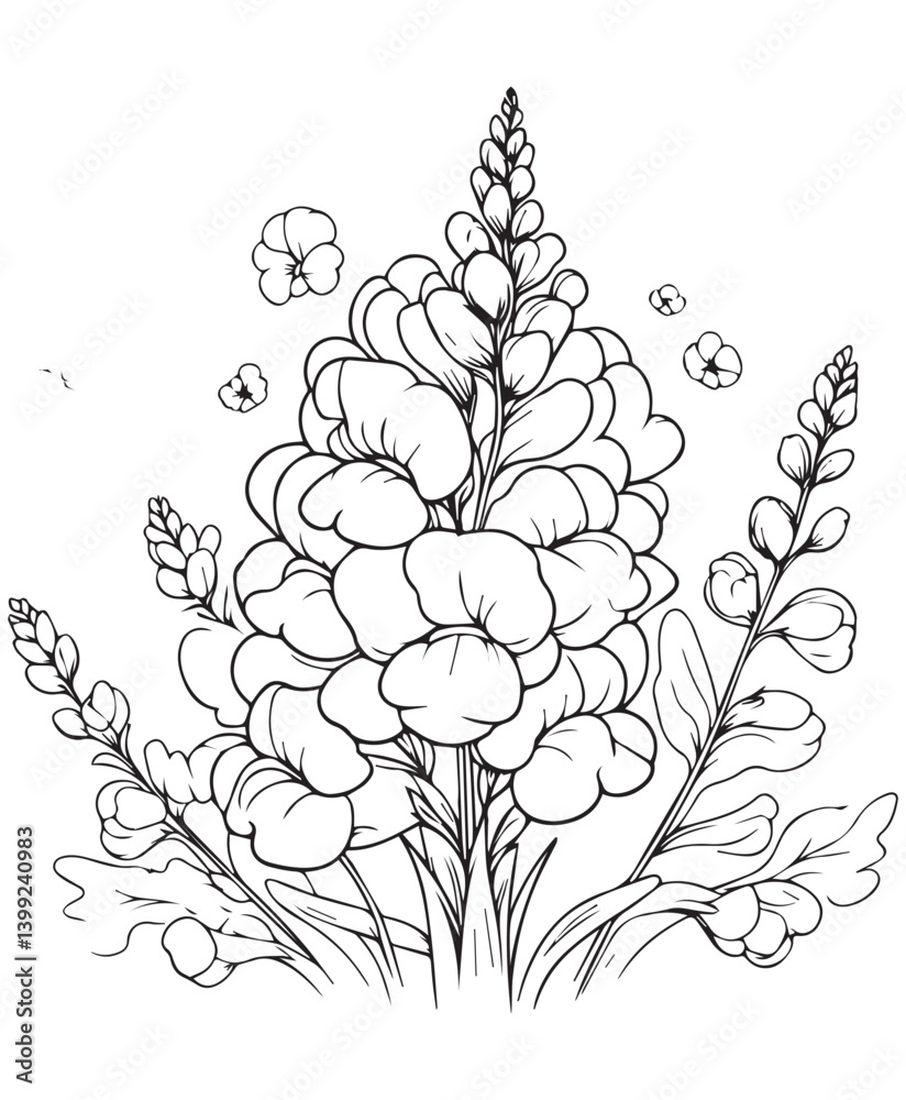 Fototapeta premium Coloring book Snapdragon blooms Detailed line art for coloring. Tall floral spire with delicate blossoms.