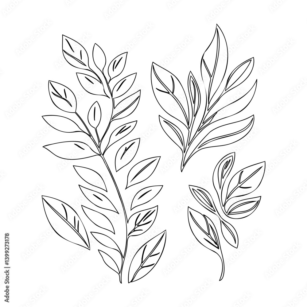 Elegant Branch Outlines against White Backdrop