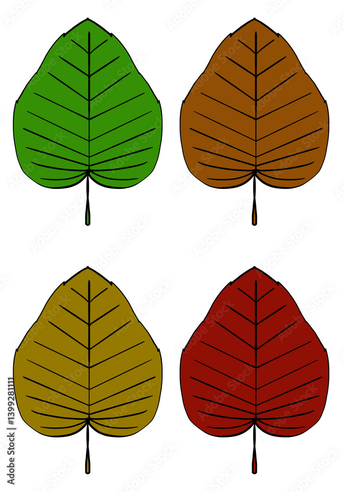 Obraz premium It is an illustration of a leaf.