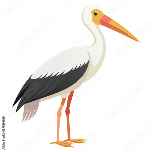 Stork isolated on white background