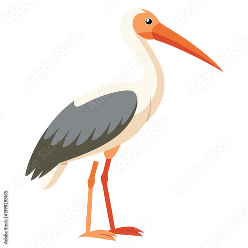 Stork isolated on white background