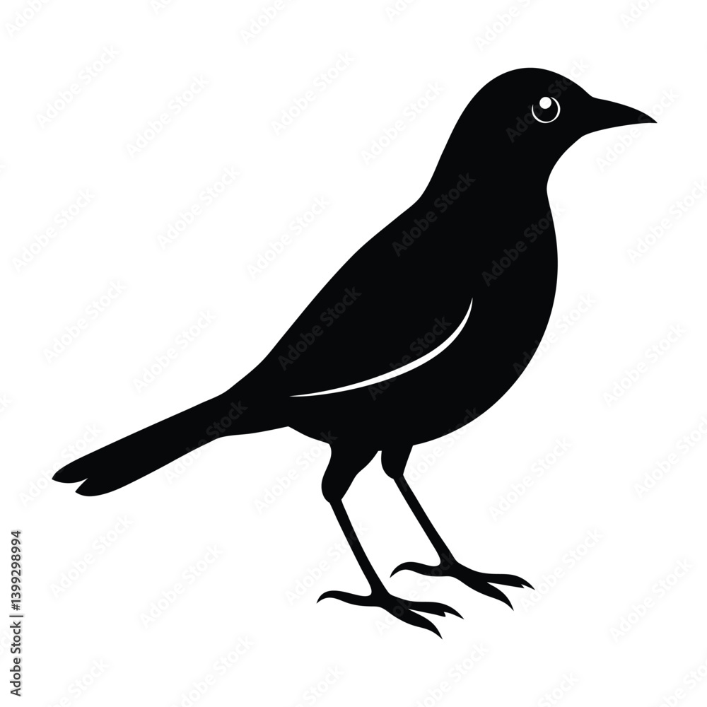 Obraz premium Myna Silhouette Vector Art Design | Black and White Myna Bird Vector Illustration