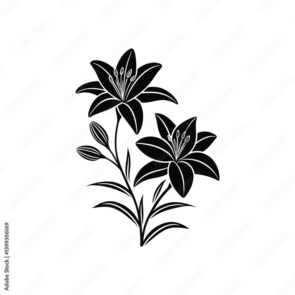 black and white lily flower silhouette on a white background