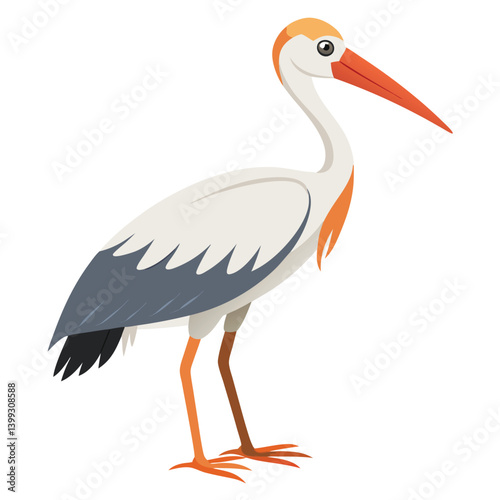 Stork isolated on white background