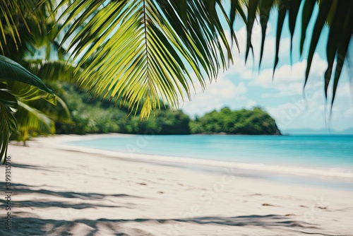 Sandy beach tropical background with palm foliage and soft island blur, ideal for vacation branding and promotional banner designs.