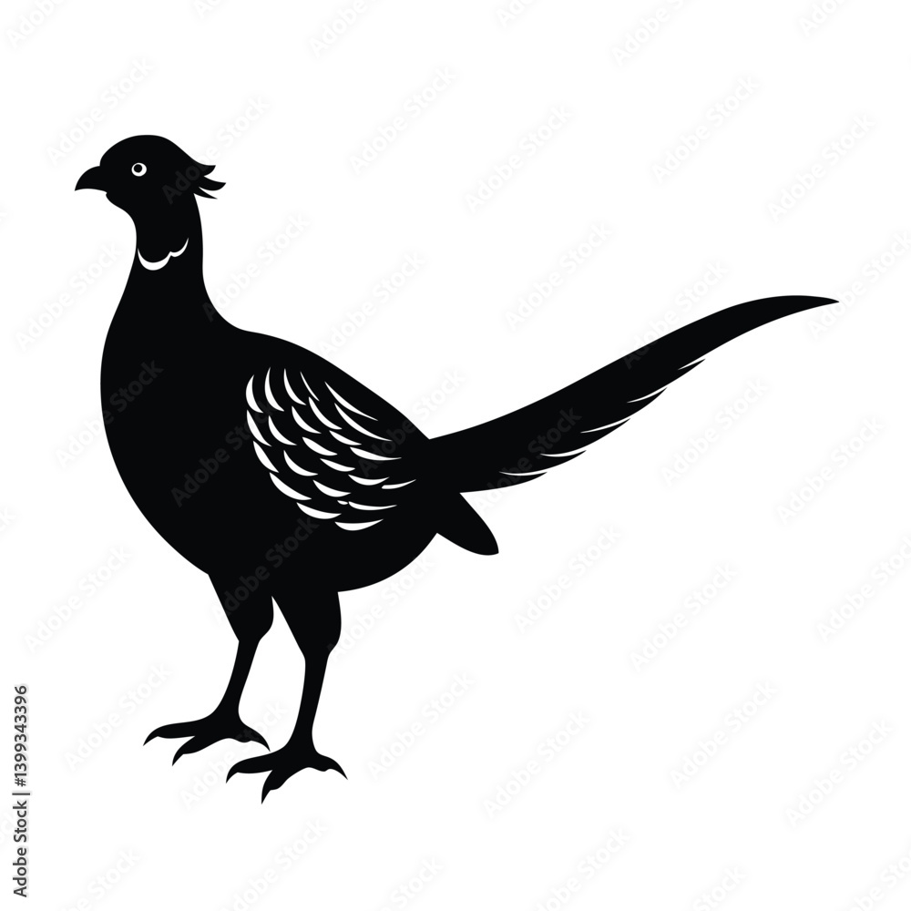 Fototapeta premium Pheasant Silhouette Vector Art Design | Black and White Pheasant Bird Vector Illustration