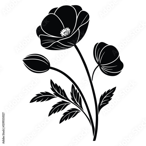 Vector illustration of a poppy flower on a white background