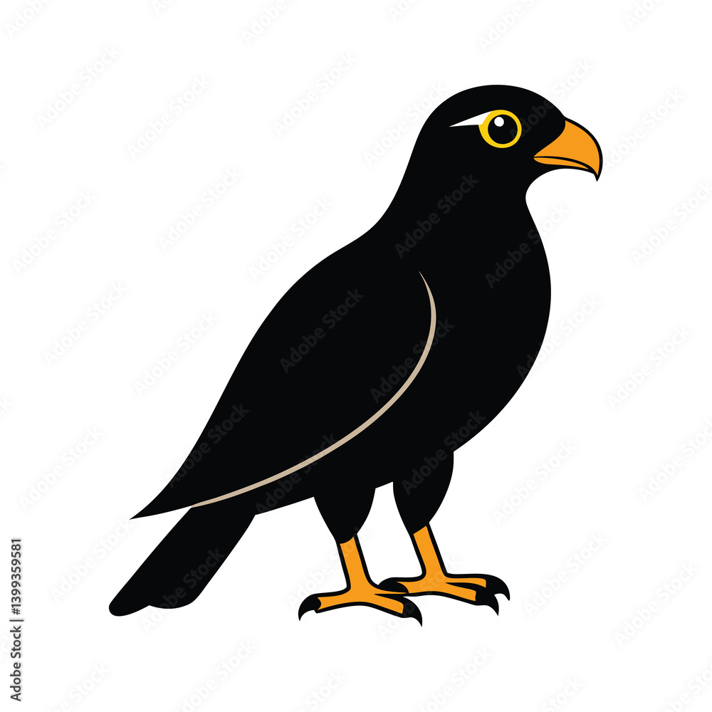 Fototapeta premium Black Bird of Prey