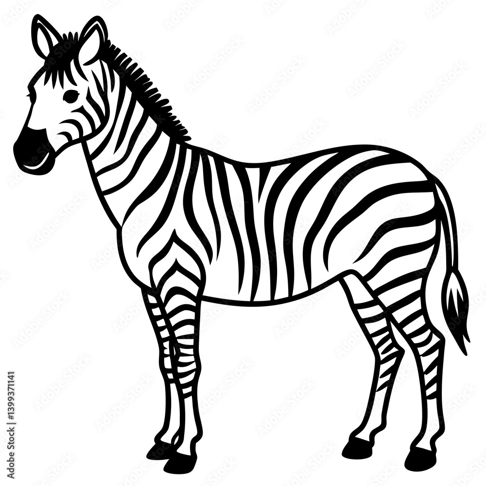 Obraz premium zebra vector illustration