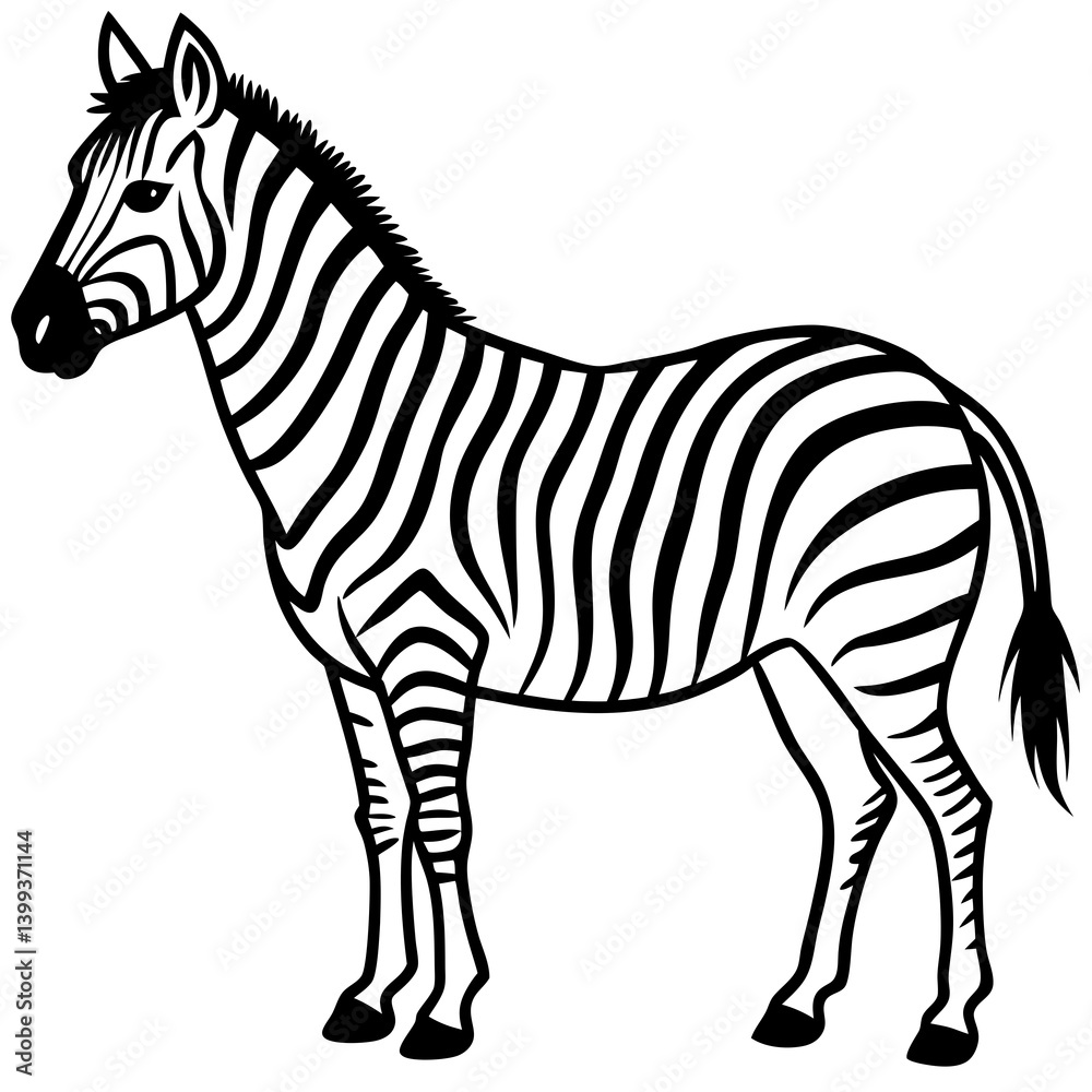 Obraz premium zebra vector illustration