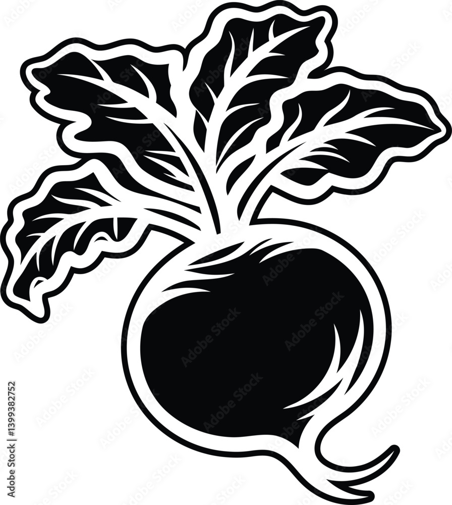 Obraz premium Clean and premium quality Beet silhouette and line art vector illustration, Beet vector icon design