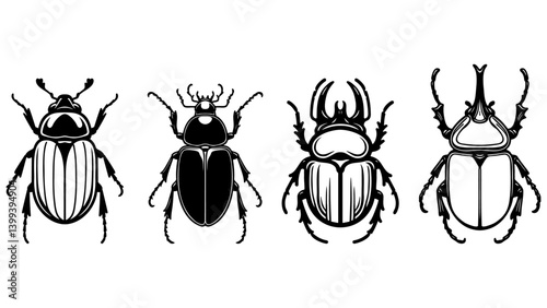 Beetle Sketch Illustration Collection.
