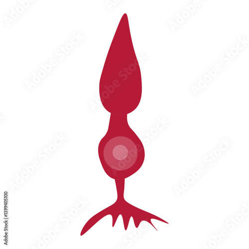 cone cell
