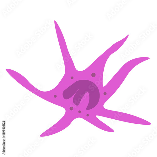 merkel cell carcinoma