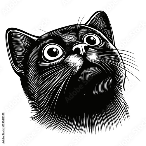 Detailed Black and White Illustration of a Cat Head with Wide Eyes