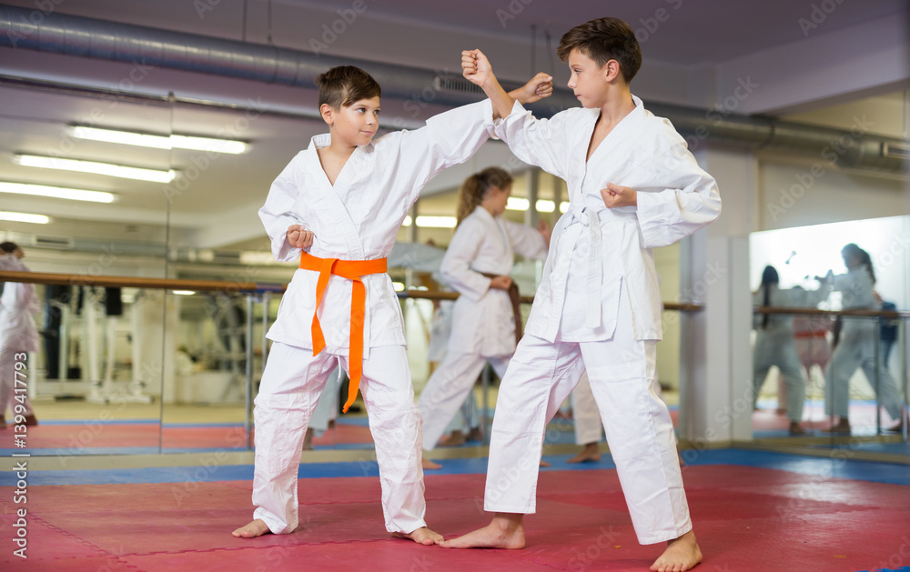 Pair of teenager boys wearing kimono practicing new karate moves during training in gym Pair of teenager boys wearing kimono practicing new karate moves during training in gym