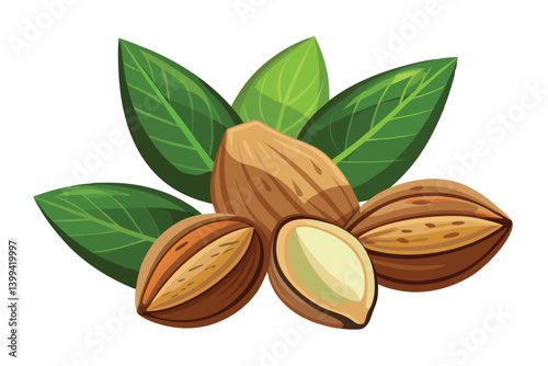 Freshly Harvested Almonds with Green Leaves Vector, Organic Almonds and Leaves Graphic Design. Nutritious Almonds Illustration with a Natural Feel, Whole and Split Almond Nuts Vector Artwork.