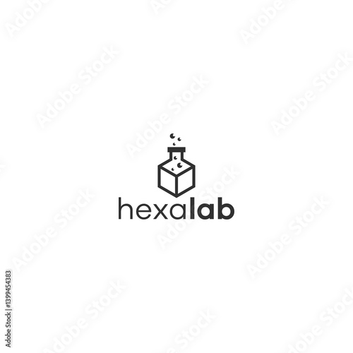 dual meaning hexa lab logo vector