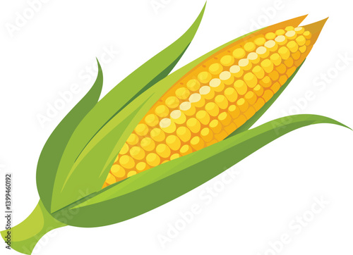 Delicious food vector artwork illustration of fresh yellow corn on the cob