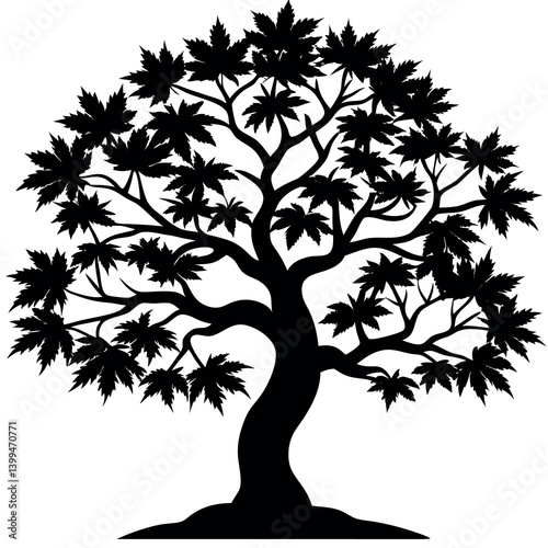A blood good Japanese maple tree silhouette vector 