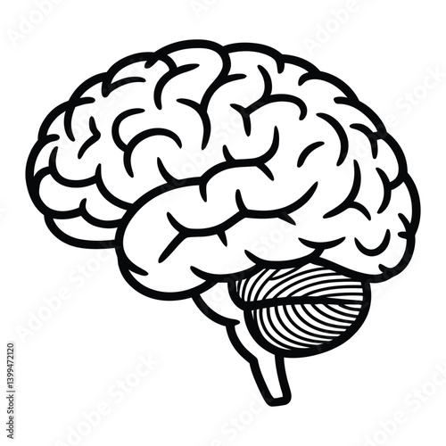 Brain Line Art, Silhouette, Vector, Icon, Logo, White Background.