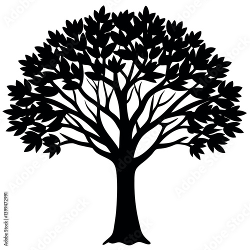 A paperbark maple tree silhouette vector illustration.