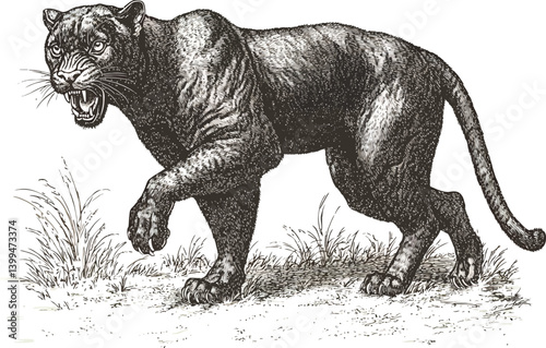 Vector illustration showing a lion and other wild animals in black and white silhouette style