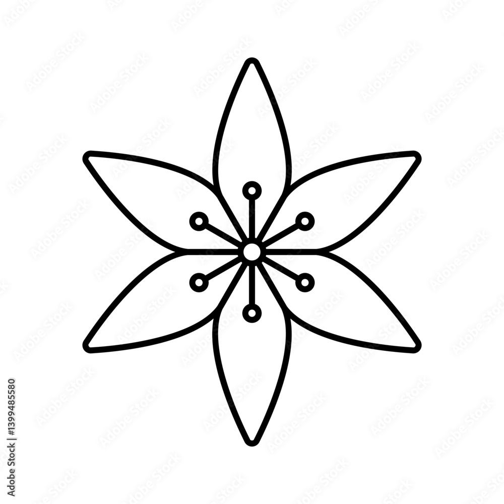 Lily Lily